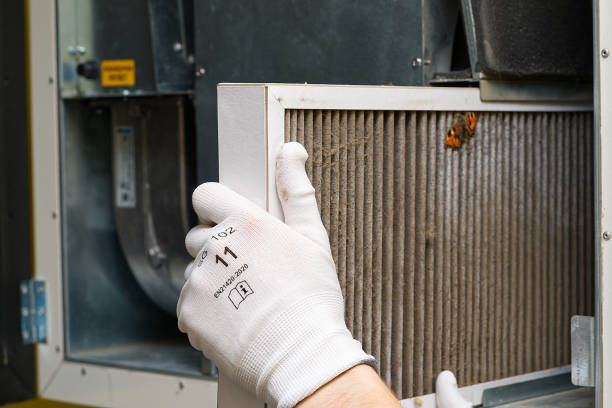 Best Local Air Duct Cleaning Services  in Wyoming, PA