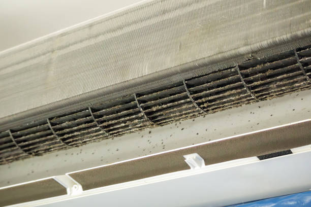 Best Residential Air Duct Cleaning  in Wyoming, PA